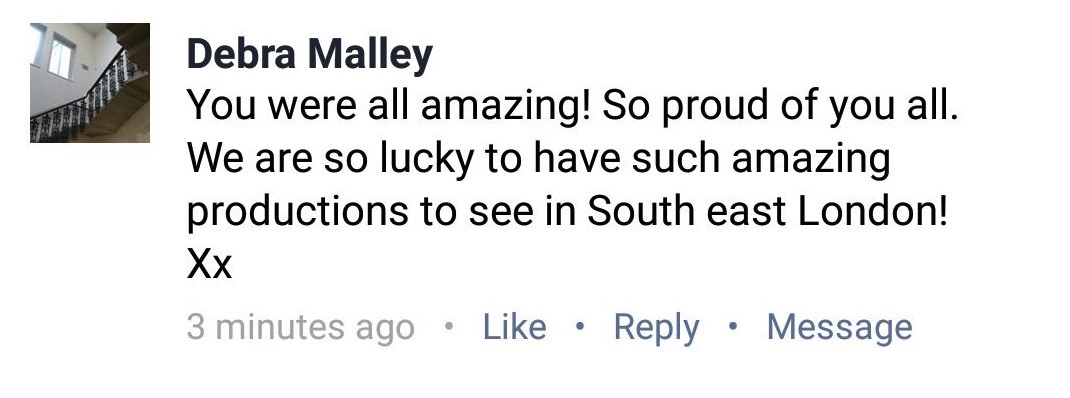Facebook Comment 02